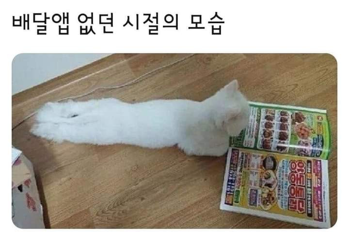 봐도봐도 웃긴 레전드 짤 모음.jpg ㅋㅋㅋㅋㅋㅋ