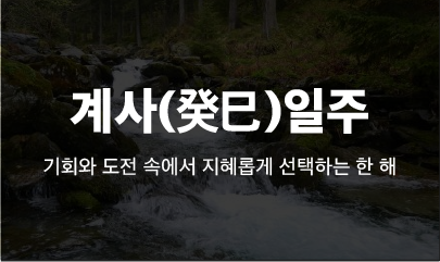 [사주] 2025년 을사년 계사일주의 운세 / 계사일주 신년운세와 조언