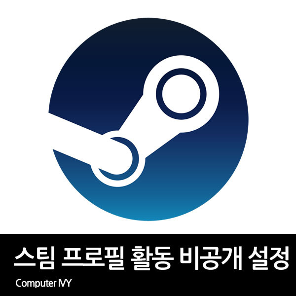 스팀 프로필 활동 비공개 설정 방법