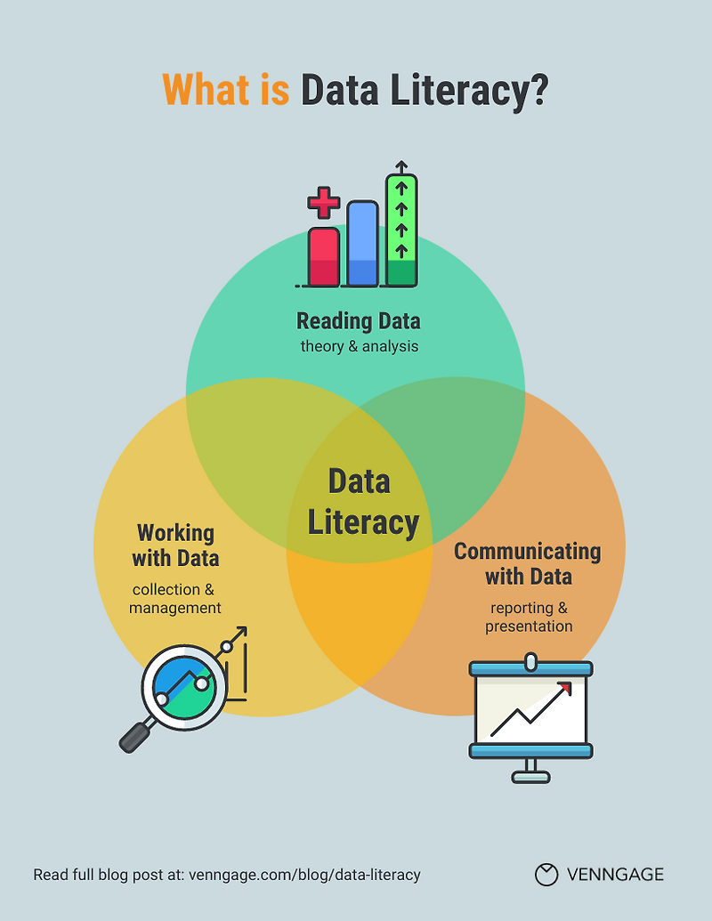 Data literacy