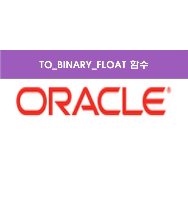 [오라클 SQL 함수] TO_BINARY_FLOAT 함수