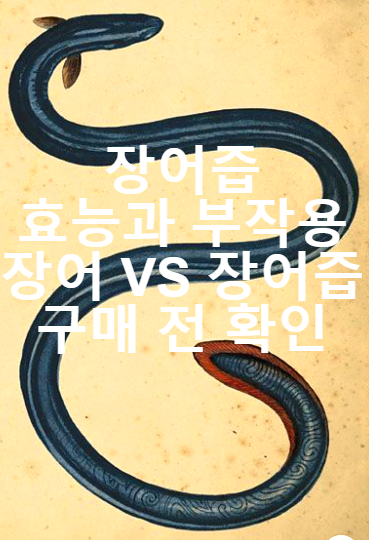 장어즙 효능 부작용 가격 (구매 전 확인해보기)