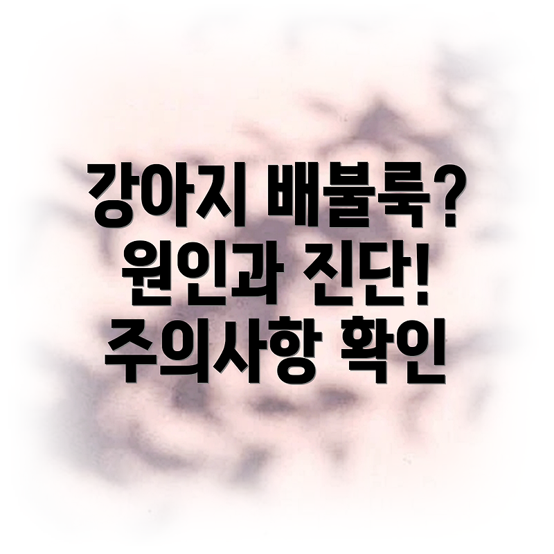 강아지 복부 팽만 원인 진단 방법 그리고 주의해야 할 사항