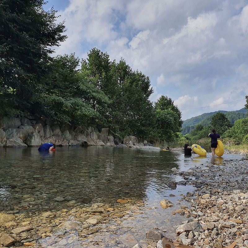 [충북 영동군 상촌면 물한리,대전근교 계곡휴가 갈만한곳] 영동 물한계곡 다녀왔어요! :: 도툐리월드ღ'ᴗ'ღ