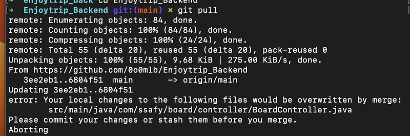 git pull bad file descriptor