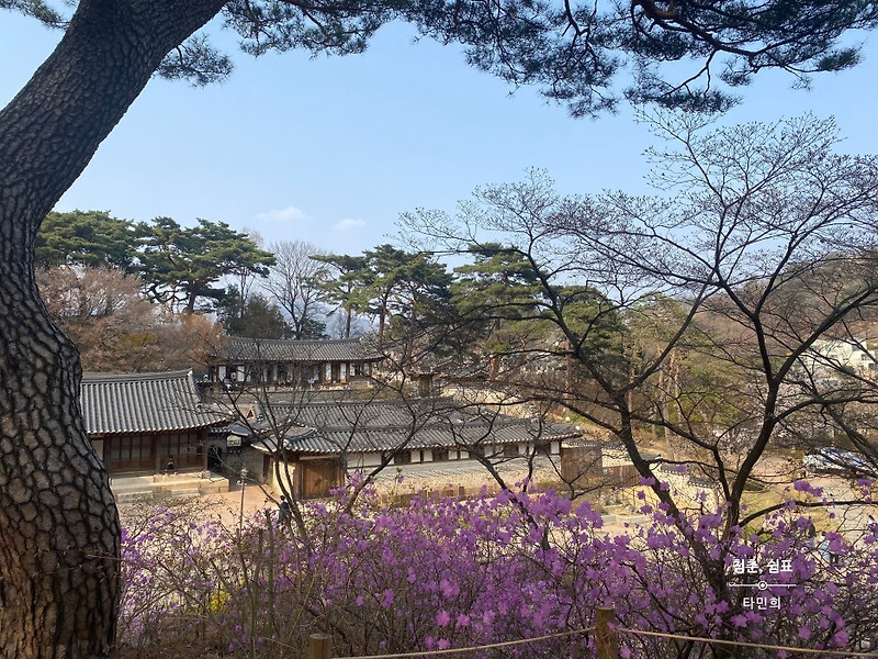 [석파정] 서울미술관 관람 후기/ 주차, 입장료, 시간, 흥선대원군