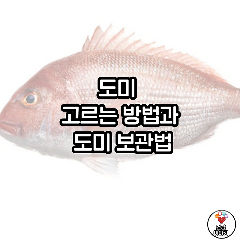 도미 고르는 방법과 도미 보관법