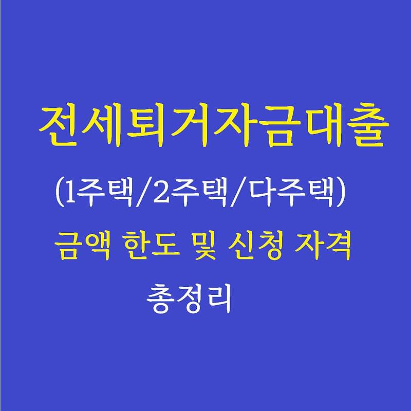 다주택자전세반환대출, DSR초과 4