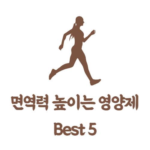 면역력 높이는 영양제 추천 Best 5