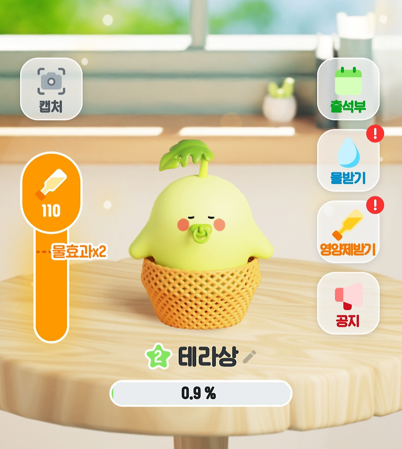 오늘의집 오늘의가든 몬스테라 2 (진행중)