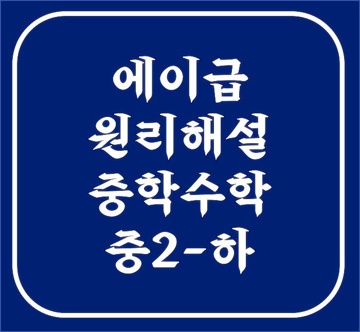 2021 에이급 원리해설 중학수학 중2하 답지 PDF 다운로드