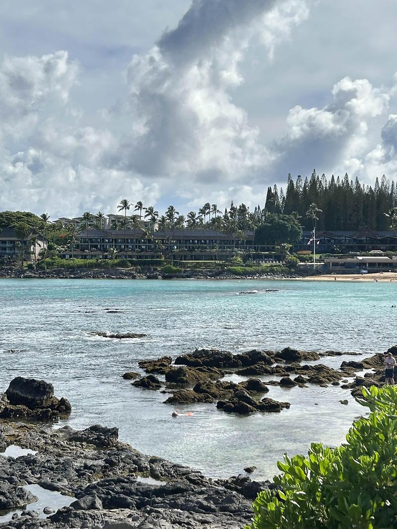 마우이 라하이나 나필리비치(Napili Bay),근처 유명 맛집추천(The Gazebo)