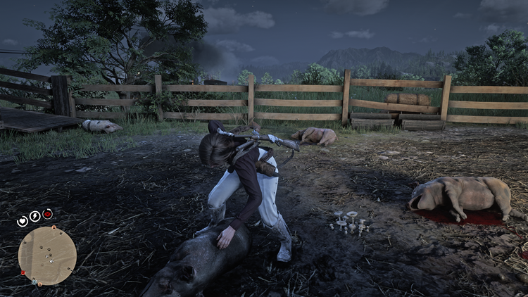Rdr2] 레데리2 온라인 - 오늘의 도전, 돼지 가죽 얻기