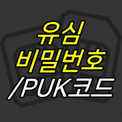 JUJULAND :: 유심 비밀번호 설정, PUK 해제 방법