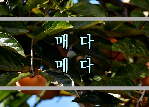 ‘매다’와 ‘메다’ 뜻과 예시