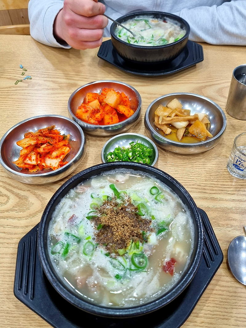 [제주 성산] 맛집 접짝뼈국 : 모자심 - 사장님 최고