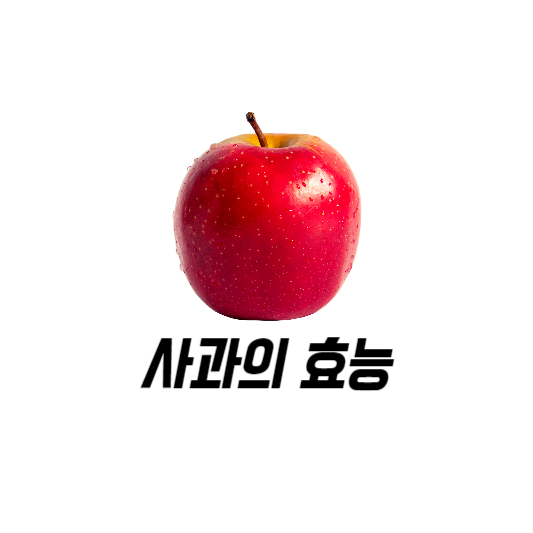사과 효능 ,뇌졸증 위험률 낮춘다