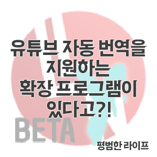 유튜브 자동 번역을 지원하는 확장 프로그램이 있다고?!