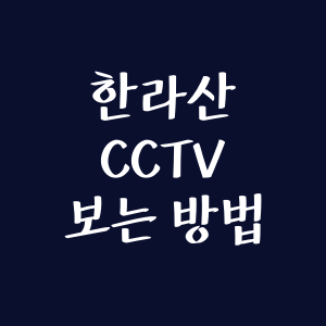 한라산 실시간 CCTV보는 방법+ 전국 국립공원 명산 포함