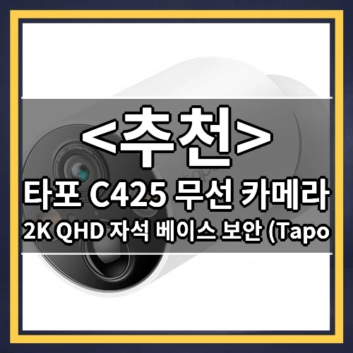 타포 C425 무선 카메라 추천