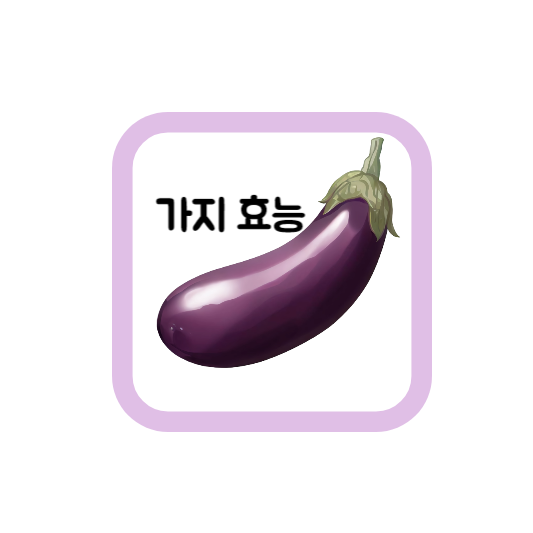 가지 효능 놀라운 9가지 효과 및 섭취방법,주의사항