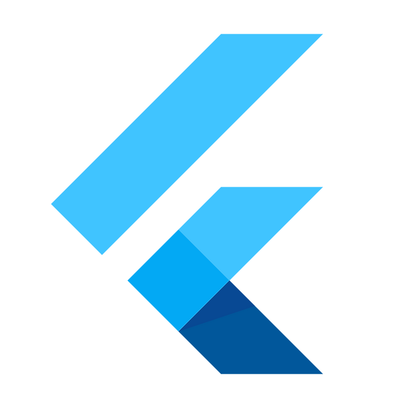  flutter json 