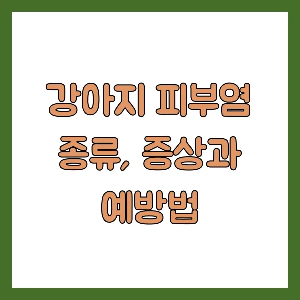 강아지 피부염 종류, 증상과 예방법