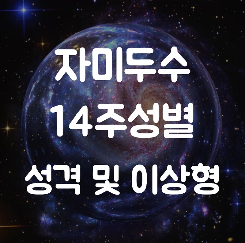 자미두수 14주성별 성격과 이상형