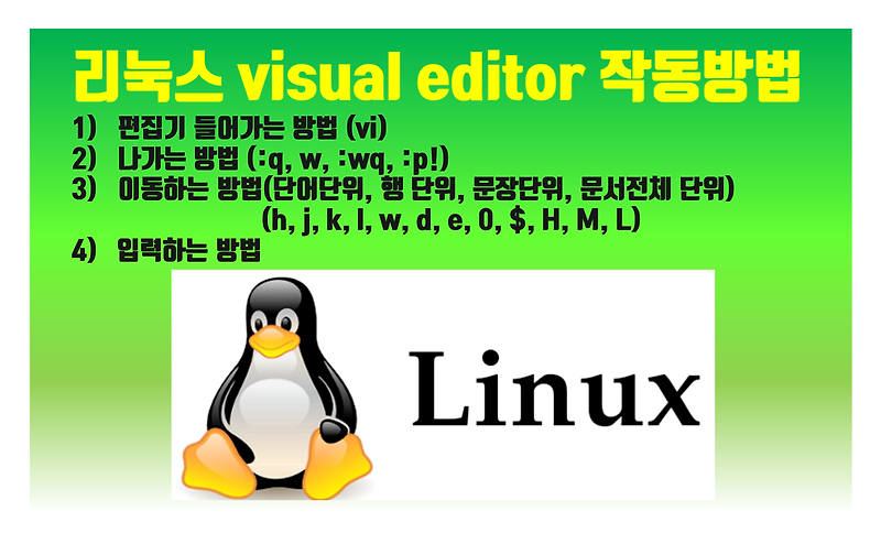 [Linux] 013. 리눅스 편집기 작동 방법 1 (vi 기본 사용방법)