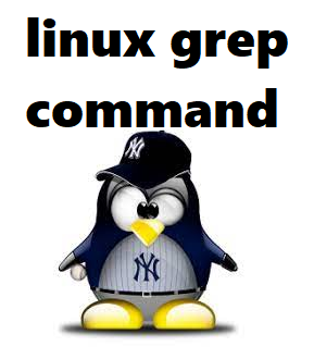 grep 옵션 사용 방법 (리눅스 grep usage help, regexp 정규식 표현)