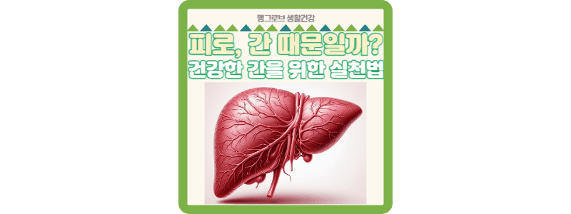 피로, 간 때문일까? 건강한 간을 위한 실천법
