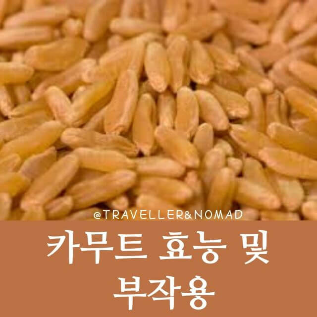 카무트 효능 효소 부작용 및 카무트 쌀가루 분말차 마시는 법 8