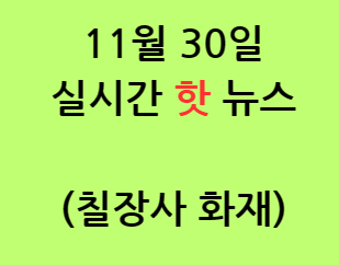 칠장사 화재 자승스님 선택에 의한 분신