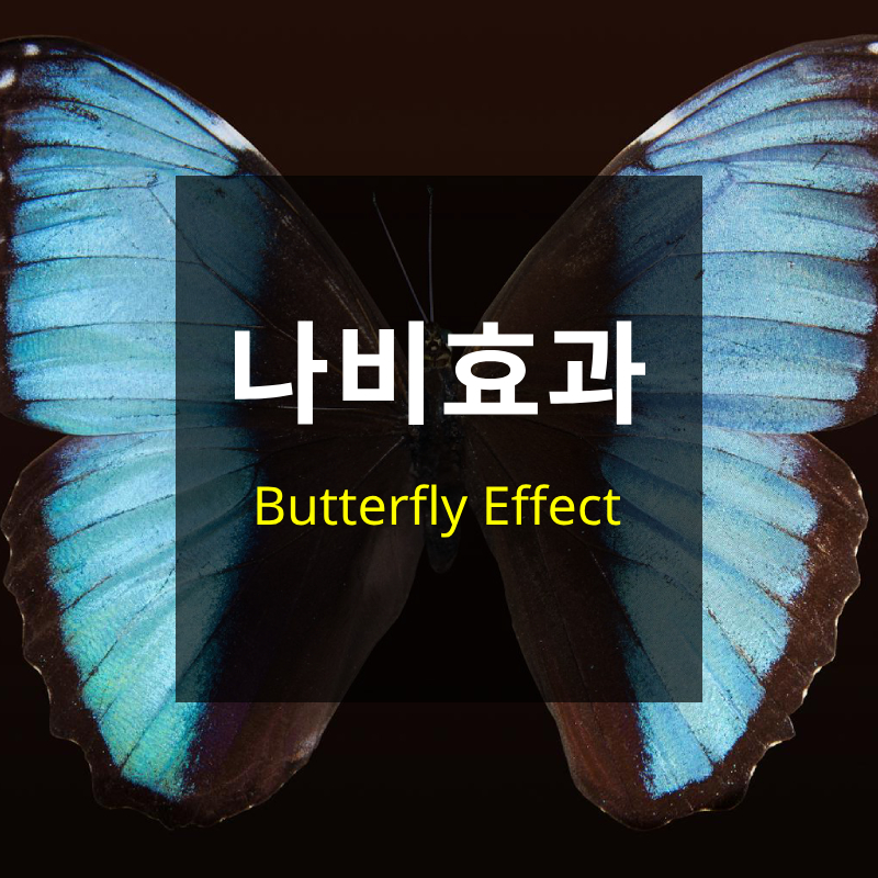 [심리용어] 나비 효과(Butterfly Effect)란 무엇일까요?