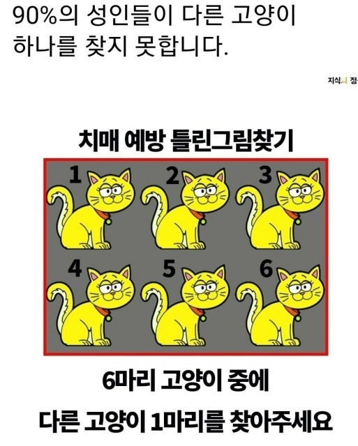 고양이 6마리 틀린그림찾기 (치매예방퀴즈)