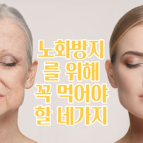 노화방지를 위해 꼭 먹어야 할 식품 4가지 노화예방