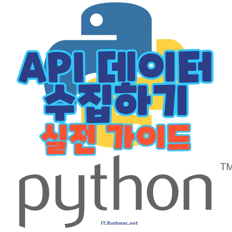 Python으로 API 데이터 수집하기: 실전 가이드