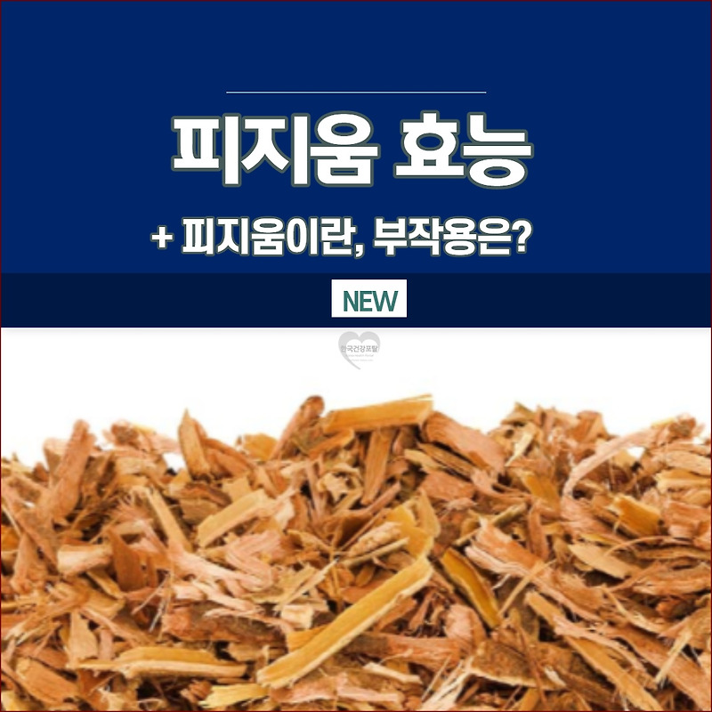 피지움 효능 부작용, 남성에게 얼마나 좋을까? - 한국건강포탈