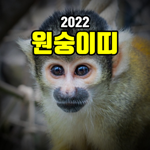 2022년 원숭이띠(잔나비띠) 운세 정확한 해석
