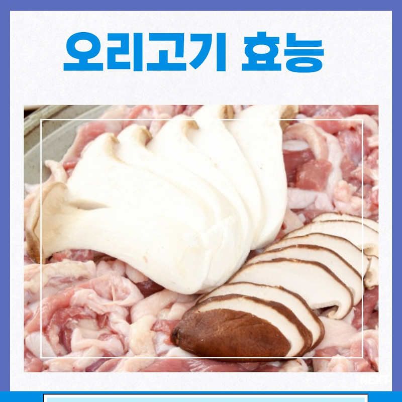 훈제 오리 효능 오리고기 부작용 칼로리 임산부