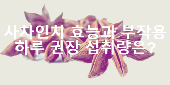 사차인치 효능 부작용 하루 섭취량