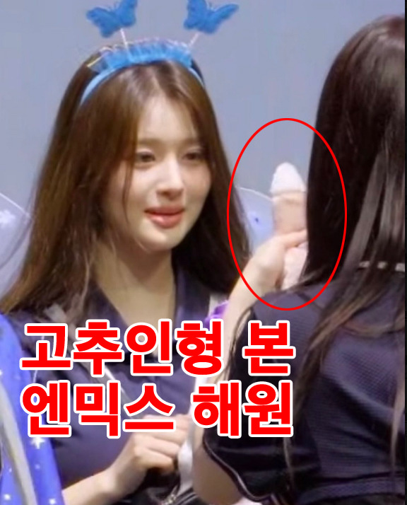 <b>엔믹스 해원</b> 인형으로 꼬추 묘사 <b>논란</b>? "팬티안의 두글자... 