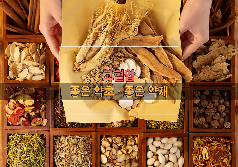 고혈압에 좋은 약초와 약재