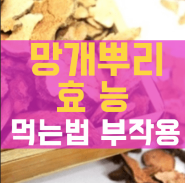 망개나무 뿌리 효능 먹는 방법
