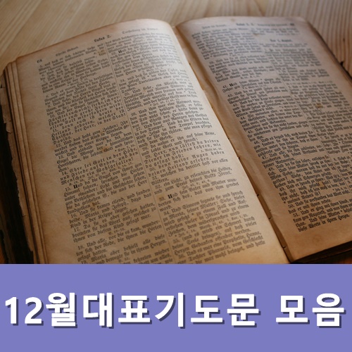 12월대표기도문 모음