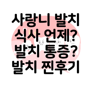 사랑니 발치 후기 : 식사 언제부터? 사랑니 발치 후 통증?