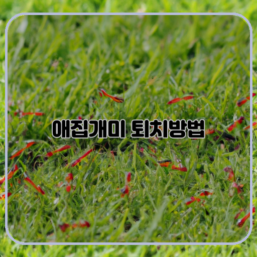 애집개미 떼 최고의 퇴치 방법
