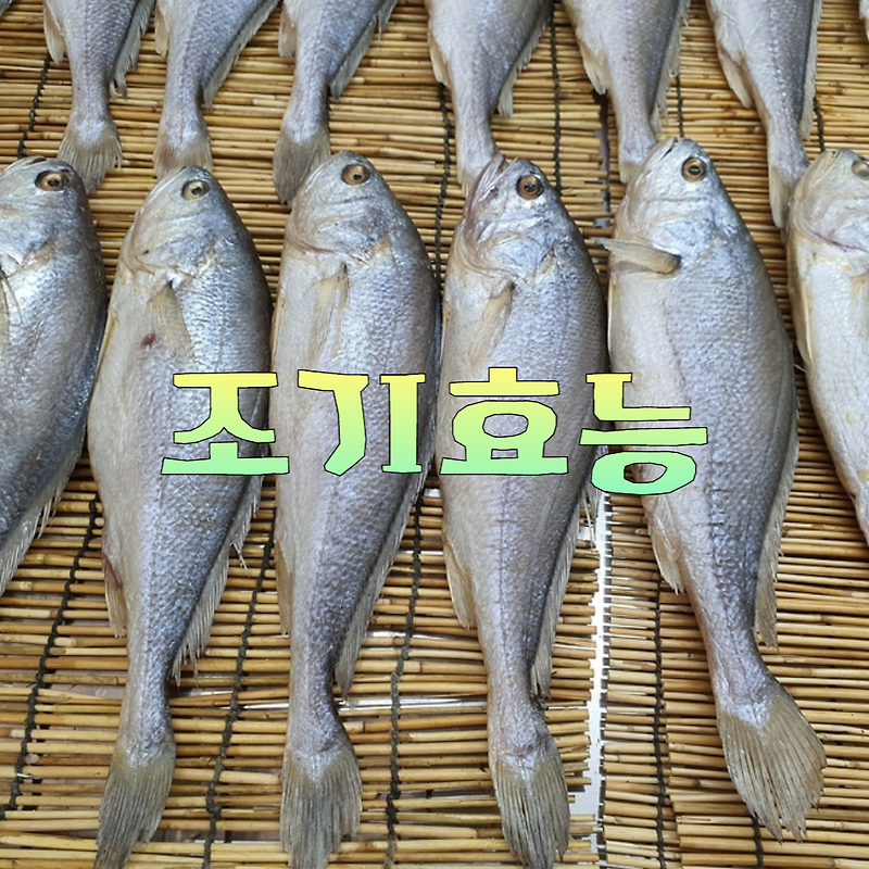 조기 효능 영양성분 고르는법 부작용