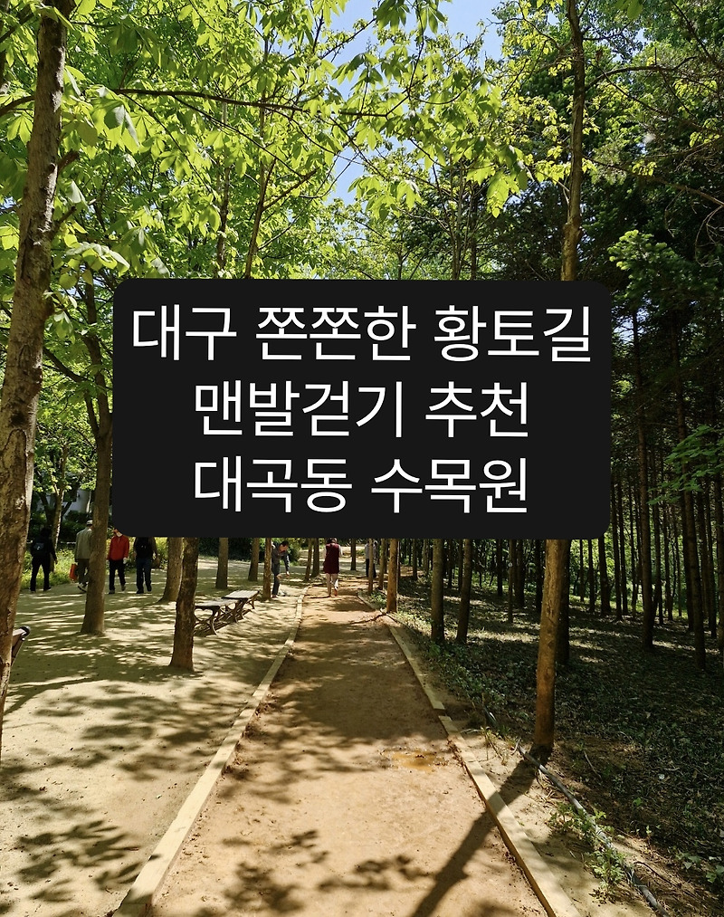 대구 맨발걷기 명소 수목원 황톳길: 주차 편의시설, 달서구 어싱 맨발걷기하기 좋은 곳, 무료