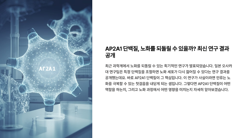 AP2A1 단백질, 노화를 되돌릴 수 있을까? 최신 연구 결과 공개
